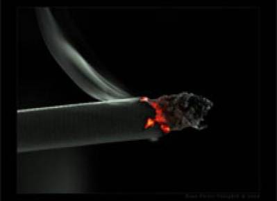Nikotinin faydaları