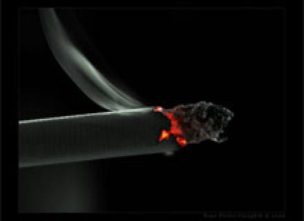 Nikotinin faydaları